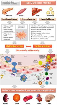 Therapeutic Options Targeting Oxidative Stress, Mitochondrial Dysfunction and Inflammation to Hinder the Progression of Vascular Complications of Diabetes